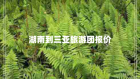 湖南到三亞旅游團報價(jià)