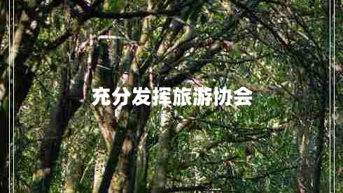 充分發(fā)揮旅游協(xié)會(huì )