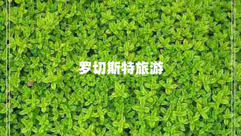 羅切斯特旅游