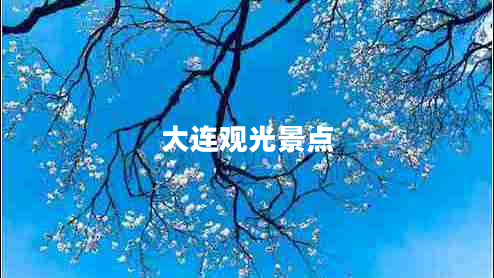 大連觀(guān)光景點(diǎn)
