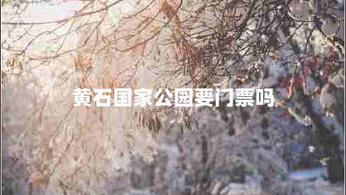 黃石國家公園要門(mén)票嗎