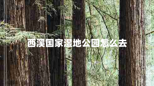 西溪國家濕地公園怎么去