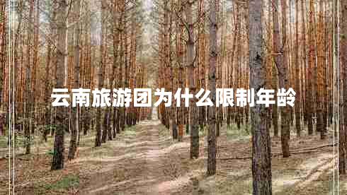 云南旅游團為什么限制年齡