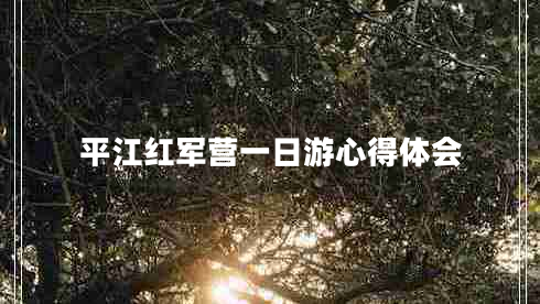 平江紅軍營(yíng)一日游心得體會(huì )