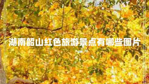 湖南韶山紅色旅游景點(diǎn)有哪些圖片