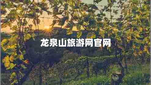 龍泉山旅游網(wǎng)官網(wǎng)