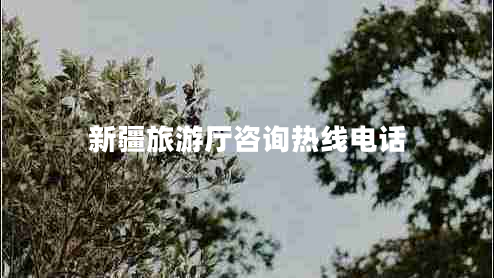 新疆旅游廳咨詢(xún)熱線(xiàn)電話(huà)