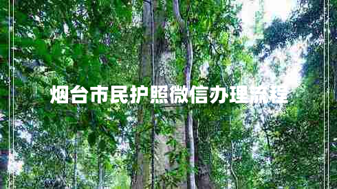 煙臺市民護照微信辦理流程