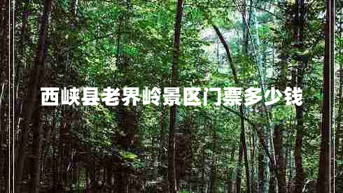 西峽縣老界嶺景區門(mén)票多少錢(qián)