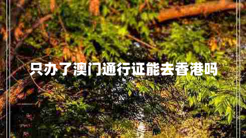 只辦了澳門(mén)通行證能去香港嗎