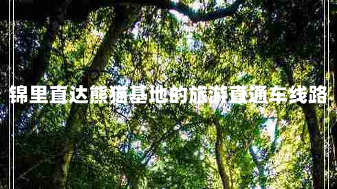 錦里直達熊貓基地的旅游直通車(chē)線(xiàn)路