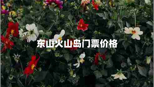 東山火山島門(mén)票價(jià)格