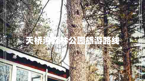 天橋溝森林公園旅游路線(xiàn)