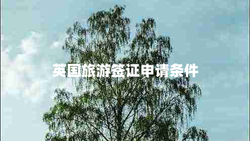 英國旅游簽證申請條件