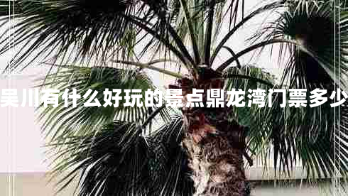 吳川有什么好玩的景點(diǎn)鼎龍灣門(mén)票多少