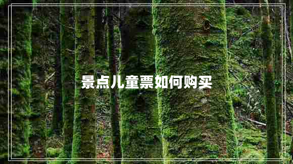 景點(diǎn)兒童票如何購買(mǎi)