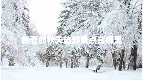 新疆的秋天旅游景點(diǎn)在哪里