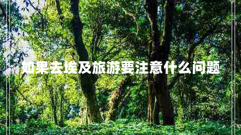 如果去埃及旅游要注意什么問(wèn)題