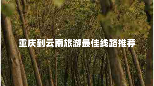 重慶到云南旅游最佳線(xiàn)路推薦