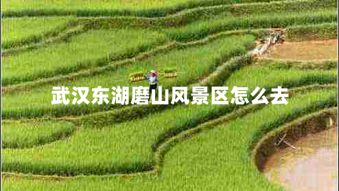 武漢東湖磨山風(fēng)景區怎么去