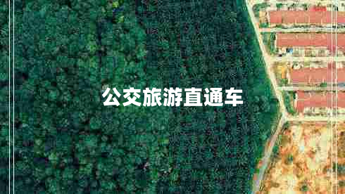 公交旅游直通車(chē)