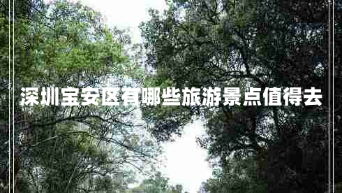 深圳寶安區有哪些旅游景點(diǎn)值得去