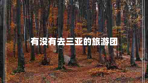 有沒(méi)有去三亞的旅游團
