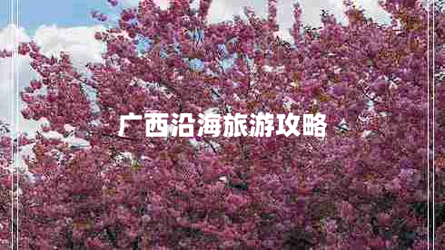 廣西沿海旅游攻略