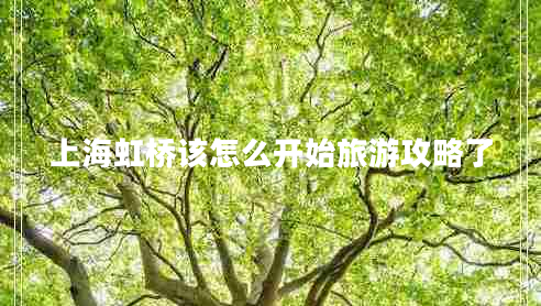 上海虹橋該怎么開(kāi)始旅游攻略了