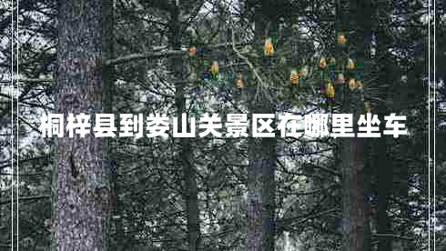 桐梓縣到婁山關(guān)景區在哪里坐車(chē)