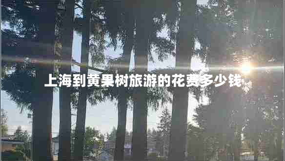 上海到黃果樹(shù)旅游的花費多少錢(qián)