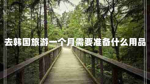去韓國旅游一個月需要準(zhǔn)備什么用品