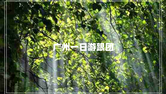 廣州一日游跟團(tuán)