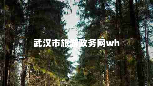 武漢市旅游政務(wù)網(wǎng)wh