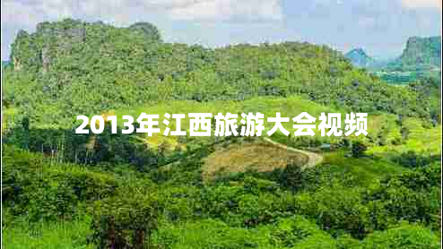 2013年江西旅游大會(huì )視頻