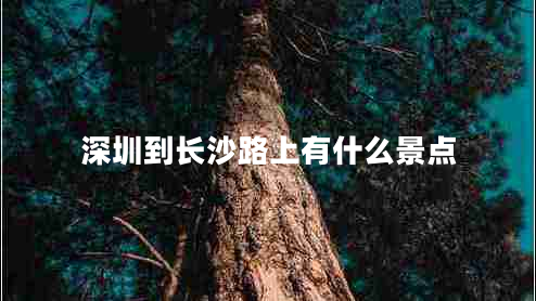 深圳到長(cháng)沙路上有什么景點(diǎn)