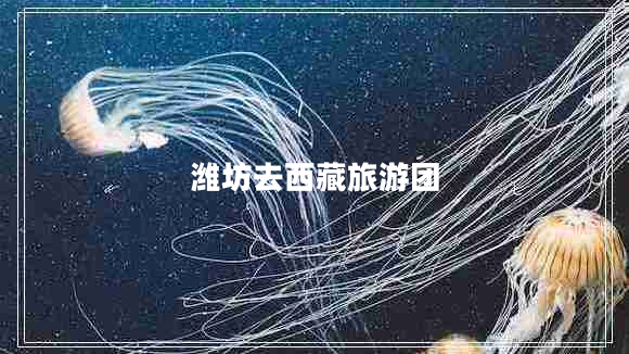 濰坊去西藏旅游團
