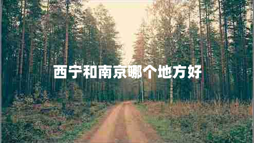 西寧和南京哪個(gè)地方好