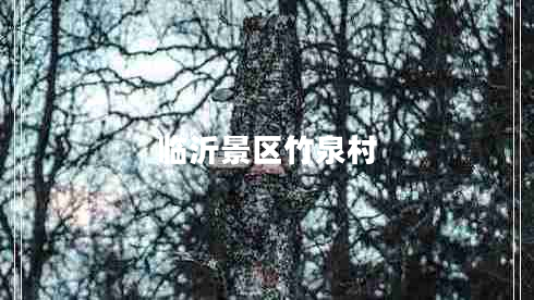 臨沂景區竹泉村