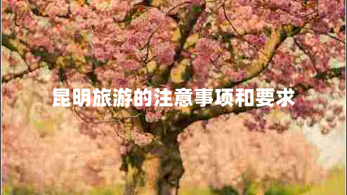 昆明旅游的注意事項和要求