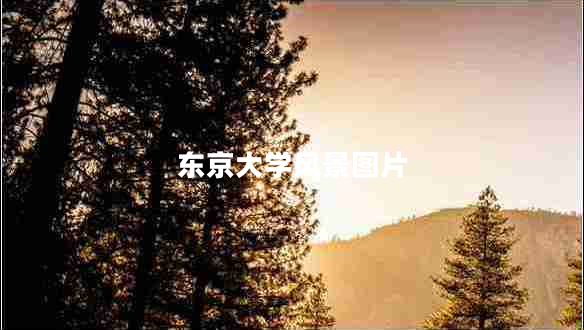 東京大學(xué)風(fēng)景圖片