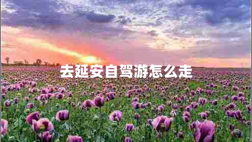 去延安自駕游怎么走