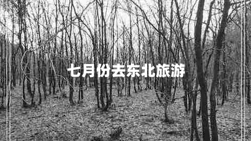 七月份去東北旅游