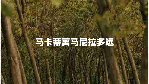 馬卡蒂離馬尼拉多遠