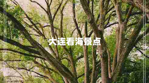 大連看海景點