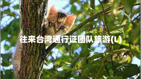 往來(lái)臺灣通行證團隊旅游(L)