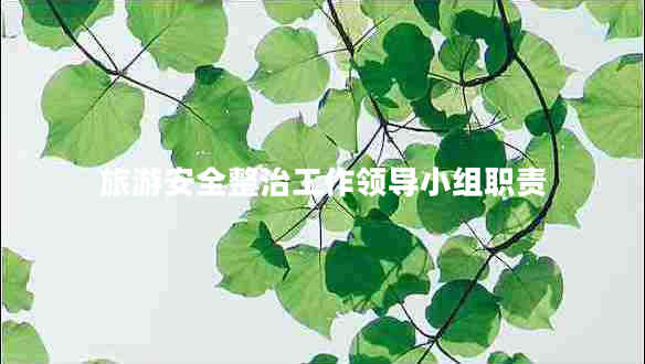 旅游安全整治工作領(lǐng)導小組職責