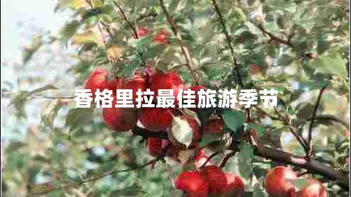 香格里拉最佳旅游季節