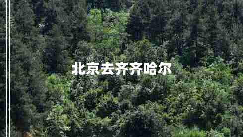 北京去齊齊哈爾