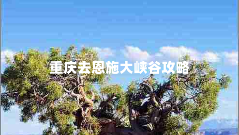 重慶去恩施大峽谷攻略